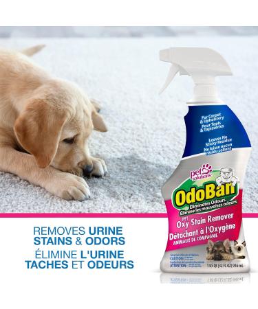 OdoBan Pet Oxy Stain Remover and Odor Eliminator for Carpet & Fabric Fragrance Free 32 oz. (946 mL) Spray  - Buy Online on GoSupps.com
