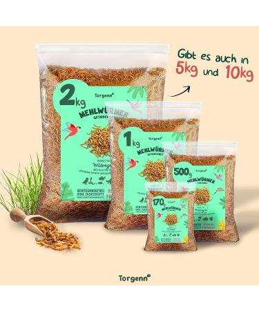Torgenn Mealworms 500g | Nutrient-Rich Food for Wild Birds Fish & Turtles | 100% Natural & GVO-Free | Dried Mealworms for Pets - Buy Online on GoSupps.com