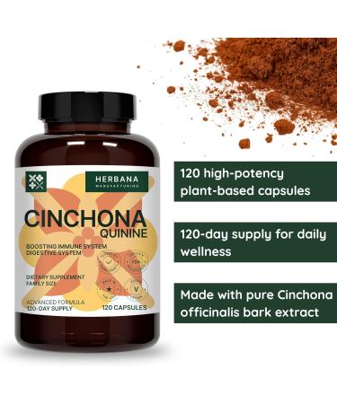 HERBANA MANUFACTURING Quinine Cinchona 120 Capsules Natural Supplement for Leg Cramps Instant Relief & Digestive Health Support Cinchona Officinalis Bark High Potency - Buy Online on GoSupps.com