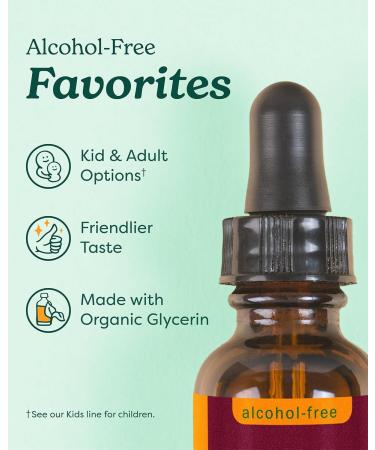 Herb Pharm Organic Kids Herbal Hug: Nervous System Support with Skullcap Passionflower Mullein & Oat Seed | Fast-Absorbing & Alcohol-Free Kid-Friendly Taste Extract for Kids 1 oz* - Buy Online on GoSupps.com