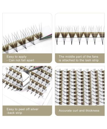 Eyelash Fan 6D-C-07-12 | Premium Black Eyelash Extensions | C & D Curl | 0.07 Volume | Shop Internationally - Buy Online on GoSupps.com