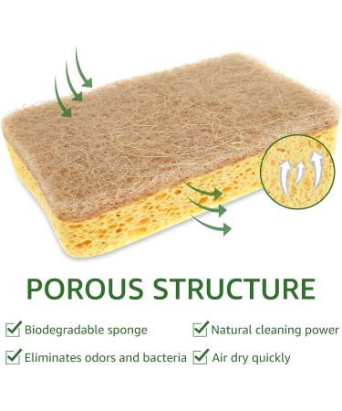 Protoiya 12Pcs Natural Sponges Odor Free Scrub Sponges Non Scratch Scrubber Pads Reusable Efficient Cleaning Kitchen Sponge Breathable Dish Sponge - Buy Online on GoSupps.com