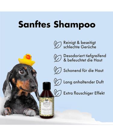 Buy Belly Nourishing Dog Shampoo - Perfect Puppy Shampoo with Keratin & Green Tea | 250ml for Long-Haired Dogs - Fresh Scent & Nourishing Care - Buy Online on GoSupps.com