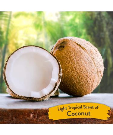 TropiClean Hypoallergenic Waterless Dog Shampoo 7.4 Fl Oz - Made in USA - Buy Online on GoSupps.com