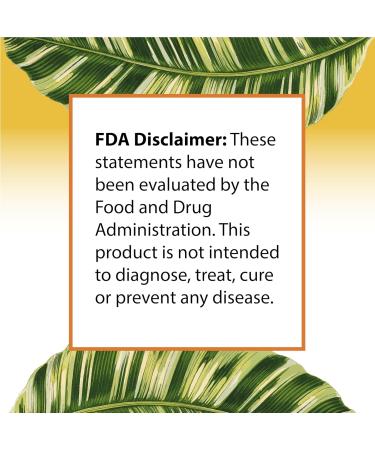 FORTE NATURALS High Dose Vitamin C 1500mg Liposomal C Complex Supplement with Sunflower Lecithin Capsules Supplements Clogged Milk Sunflower Lecithin 180 Capsules Celebration Vitamins - Buy Online on GoSupps.com