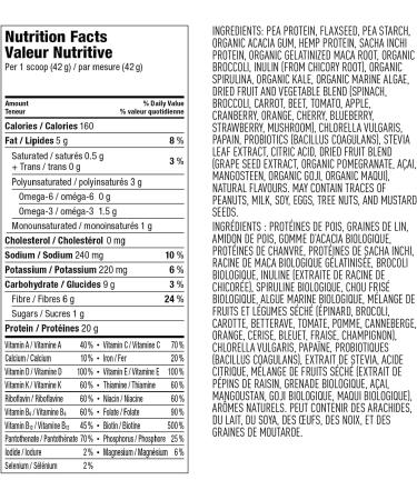 Vega All-in-One Vegan Protein Powder French Vanilla (10 Sachets) Superfood Ingredients Vitamins For Immunity Support Keto Friendly Pea Protein For Women & Men 10x41g (Packaging May Vary) - Buy Online on GoSupps.com