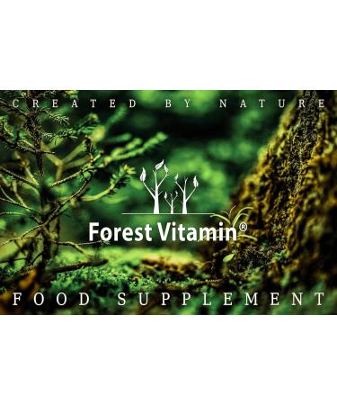 Forest Vitamin L-Glutamine 500mg - 100 Capsules | Boost Immunity & Health | Premium Amino Acids Supplement - Buy Online on GoSupps.com