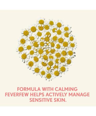 Aveeno Ultra-Calming Night Cream for Dry Sensitive Skin - 1.7 oz (Pack of 3) - Buy Online on GoSupps.com