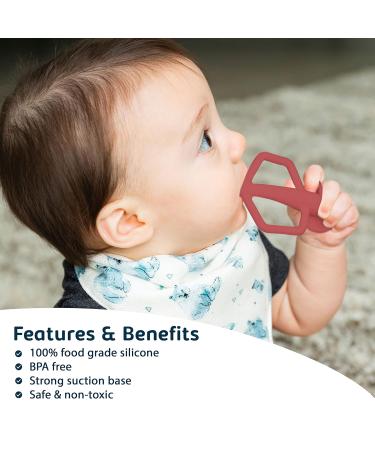 Buy Silicone Training Toothbrush for Babies - Flexible Suction Base & Easy Grip Handle (Rose Burgundy 2-pk) | International Shipping Available - Buy Online on GoSupps.com