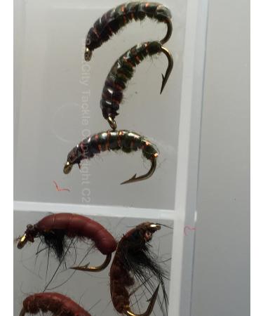 Buy Czech Nymph Fly Fishing Box - 24 Copper Wire Weighted Flies (Sizes 10/14) | Best Quality for International Shipping - Buy Online on GoSupps.com