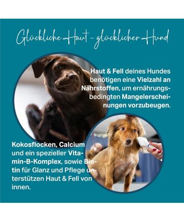 Medidog Coconut Paste 500g | Supplementary Feed for Dogs | Vitamin Complex for Itchy Skin & Glossy Fur - International Shipping - Buy Online on GoSupps.com