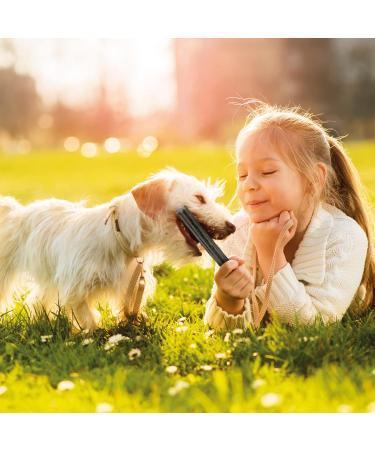 Beaphar Dental Sticks for Small Dogs 1 count (Pack of 1) Small Dogs - Buy Online on GoSupps.com
