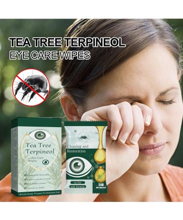 KOAHDE Eye Wipes for Itchy Dry Eyes Eyelid Cleansing Wipes Mite Removal Eyelid Wipes Eyelid Wipes Mite Removing Itchy Eyes Relief Wipes Wrapped Eyelash Wipes Eye Mite Removal Wet Wipes 20PC - Buy Online on GoSupps.com