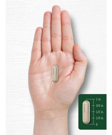 Silica Supplement Capsules - 200 Count Horsetail Extract, Non-GMO & Gluten Free by Carlyle - Buy Online on GoSupps.com