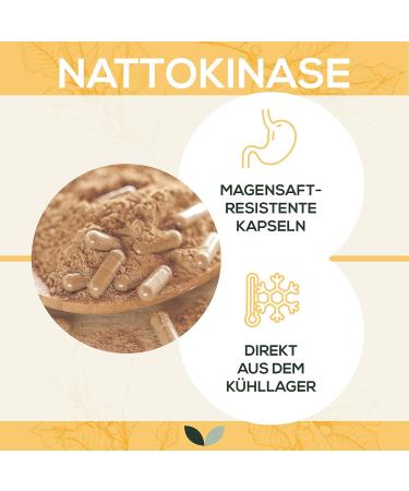 Sanutrition Nattokinase 120 Capsules | 100 mg per Capsule | GMO-Free Soy | Direct Cooling Shipping | Best for Gut Health - Buy Online on GoSupps.com