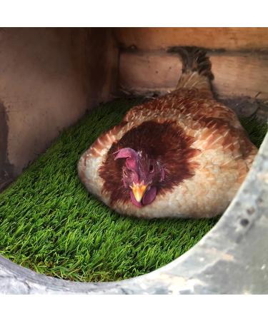 Rural365 Artificial Turf Nesting Box Pads - 12x12, 4 Pack - Chicken Coop Grass Laying Pads - Buy Online on GoSupps.com