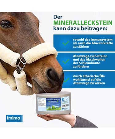 Imima Mineraleckstein Horse Multivitamin Bronchial Salt Lick Set - 12 kg Mineral Stones for Horses Sheep Goats & Cattle | 4 x 3kg - Buy Online on GoSupps.com