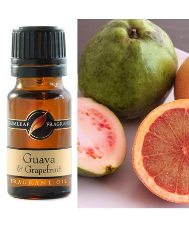 Gumleaf Fragrance Guava & Grapefruit Fragrant Oil - 0.34fl oz Cruelty Free & Vegan Phthalate-Free Fragrance