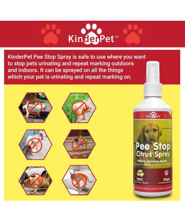 KinderPet Pee Stop Spray Urine Stop for Cat and Dog Repellent Stop Cats and Dogs Repeat Marking Indoors and Outdoors 100% Natural Enzyme Urine Destroyer 250ml - Buy Online on GoSupps.com