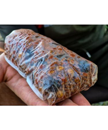 Tandem Baits Carp Food Natural Liquid 1000ml Chile - Buy Online on GoSupps.com