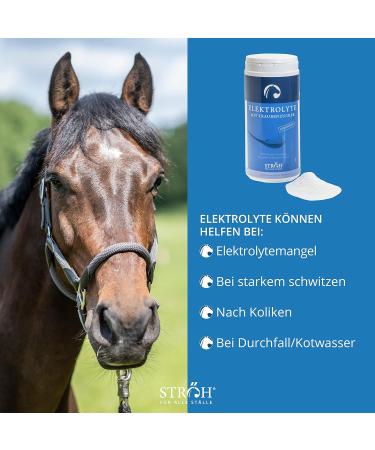 Str h Electrolyte for Horses + Glucose 1.5kg | Mineral Salt Powder & Vitamins with Biotin Iron Zinc Selenium | Optimal Mineral Feed for Healthy Horses - Buy Online on GoSupps.com
