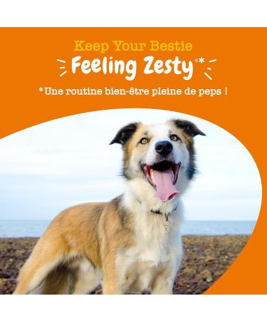 Zesty Paws Allergies & Immunity - Immune System & Skin Support - Dog Treat Supplement - Salmon Oil & Omega 3 - 90 Count (Salmon - Senior Dogs) - Buy Online on GoSupps.com