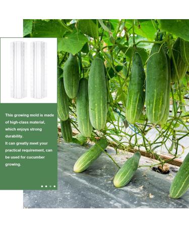 jojofuny 3Pcs Fruit Shaper Vegetable Forming Mould Tool Fruit Stereotypes for 20x6cm As Shown - Buy Online on GoSupps.com
