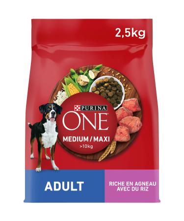 PURINA ONE Medium/Maxi Adult Beef 2.5kg Dry Food for Medium and Large Adult Dogs