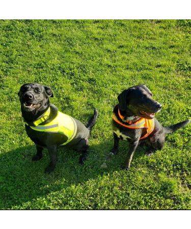 SafetyPUP XD Lite Dog Vest - Reflective Blaze Orange, Medium Size - Buy Online on GoSupps.com