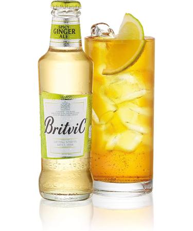  Britvic Britvic Ginger Ale 24 x 200 ml - Buy Online on GoSupps.com