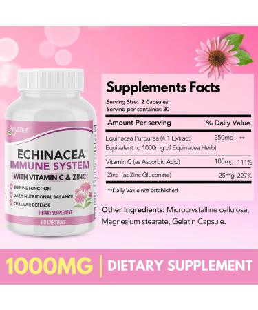 ARYMAR Echinacea + Vitamin C & Zinc Immune Support Supplement with Herbal & Nutrient Blend 60 Capsules - Buy Online on GoSupps.com