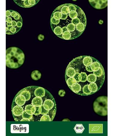  Biojoy Biojoy Organic Chlorella Powder (100 g) Natural and without additives (Chlorella vulgaris L.) - Buy Online on GoSupps.com