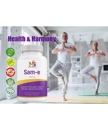 HS Health Supplements Sam-e 500mg L-Methionine - Mood & Joint Support | Vegan, Gluten & Soy Free | 2 Months Supply - Buy Online on GoSupps.com