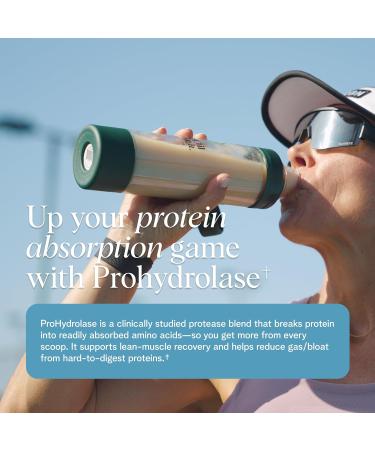 Ora Vegan Protein Powder for Lifelong Strength - 23g Per Serv - Plus Tart Cherry for Joint Health & ProHydrolase for Protein Absorption - Organic Gluten-Free - Vanilla Flavor 20 Servings - Buy Online on GoSupps.com