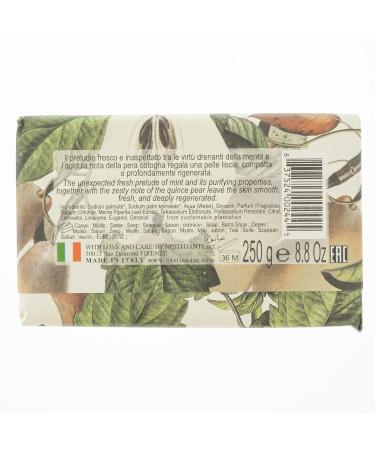 Nesti Dante Il Frutteto Purifying Soap - Mint & Quince Pear | 250g | International Shipping Available - Buy Online on GoSupps.com
