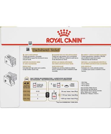 Royal Canin Dachshund Adult Wet Dog Food 3oz - Pack of 12 | Loaf in Gravy - Buy Online on GoSupps.com