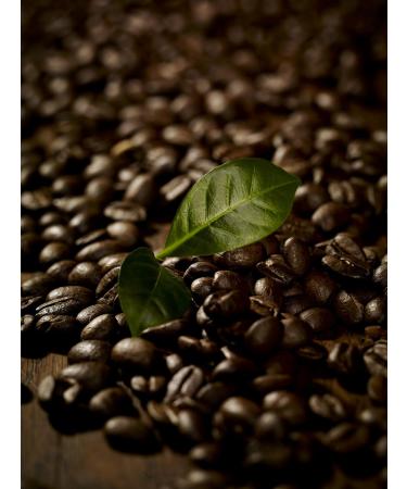  Melitta Melitta Caf Cr me - Whole Coffee Beans - 100% Arabica - Full and Harmonious - Medium Weave - 1 kg - Buy Online on GoSupps.com
