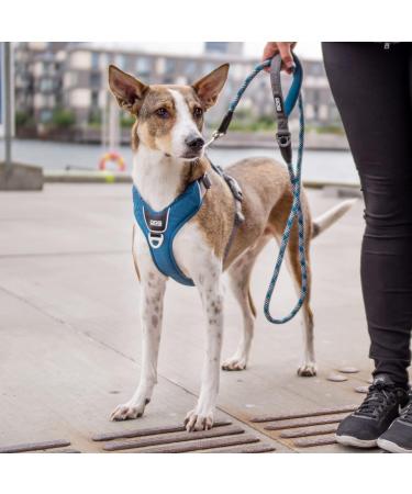 DOG Copenhagen V2 Comfort Walk Pro Harness - Classic Red XS | Premium Dog Harness for Small Dogs - Buy Online on GoSupps.com