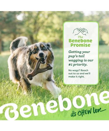Benebone Wishbone Real Peanuts Medium Durable Dog Chew Toy for Aggressive Chewers | International Shipping Available - Buy Online on GoSupps.com