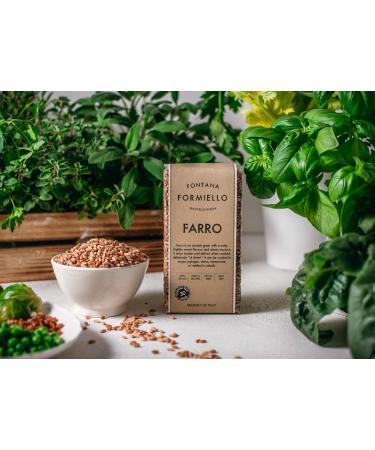 Buy Fontana Formiello Farro Spelled 500g - Premium Organic Grain for Healthy Cooking | International Shipping - Buy Online on GoSupps.com