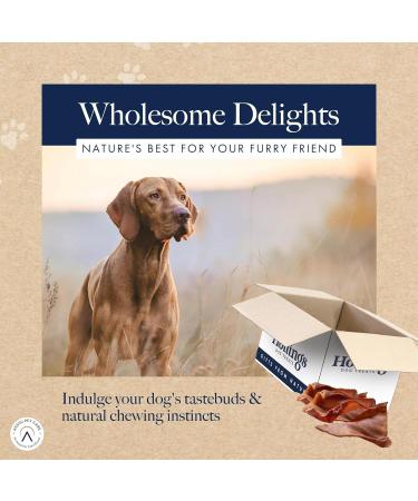 Hollings Pig Ears Dog Treats 100% Natural Air Dried Long Lasting Chews for Adult Dogs Grain Free & High in Protein (20 Loose) 20 count (Pack of 1) - Buy Online on GoSupps.com