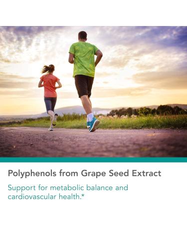 Nutricology Grape Pips - Grape Seed Extract Proanthocyanidins Polyphenols Herbal Supplement Organic 300mg Capsules - 90 Count - Buy Online on GoSupps.com