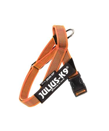 Julius-K9 Color & Gray Belt harness XS / Mini-Mini orange-grey