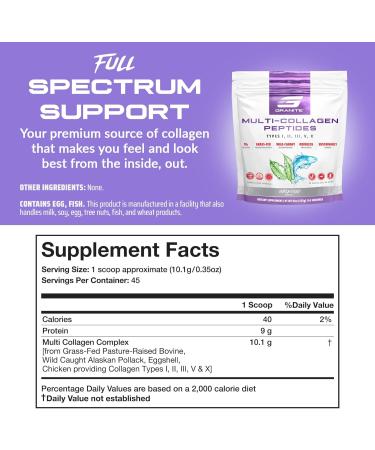 Granite Supplements Collagen Peptides Powder - Hair Skin and Nails Vitamins with Type I II III V X Hydrolyzed Collagen Peptides for Nail Growth Bone Mobility & Joint Support (16oz) - Buy Online on GoSupps.com