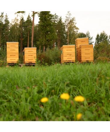 Earthbreath Buckwheat & Summer Blossom Raw Honey - 1.4kg - Natural Sweetener - Unheated & Unfiltered - Buy Online on GoSupps.com