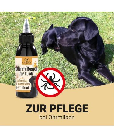 Canifee Ear Drops for Dogs - Manuka Oil & Yeast Mushroom Formula 110ml - Natural Ear Mite & Inflammation Care - Buy Online on GoSupps.com