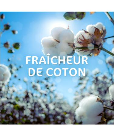 Dash 2in1 PODS Capsule Detergent 28 Washes Cotton Freshness Intense Freshness Made in France - Buy Online on GoSupps.com