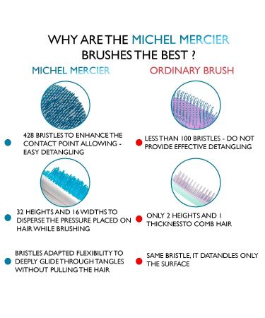 Michel Mercier Spa Brush - Detangling Hair Brush for Wet or Dry Hair - Shower Detangler for Women & Men - Thick Hair - Blue - Buy Online on GoSupps.com