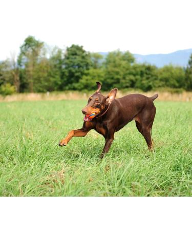 Buy Chuckit! Ultra Ball Large (Pack of 2) - Durable & Fun for Dogs | International Shipping Available - Buy Online on GoSupps.com