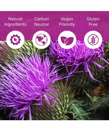 Milk Thistle Tablets 80% Silymarin | High Strength 7000mg Per Serving | Vegan Friendly Natural Health Supplement | Made in The UK (120 Tablets) Unflavoured 1 count (Pack of 120) - Buy Online on GoSupps.com